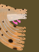 Owl Fern Poster – Aniek Bartels | Limited Edition A3 