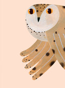 Owl Pink Poster – Aniek Bartels | Limited Edition A3