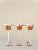 Banwood Scooter Step Wit