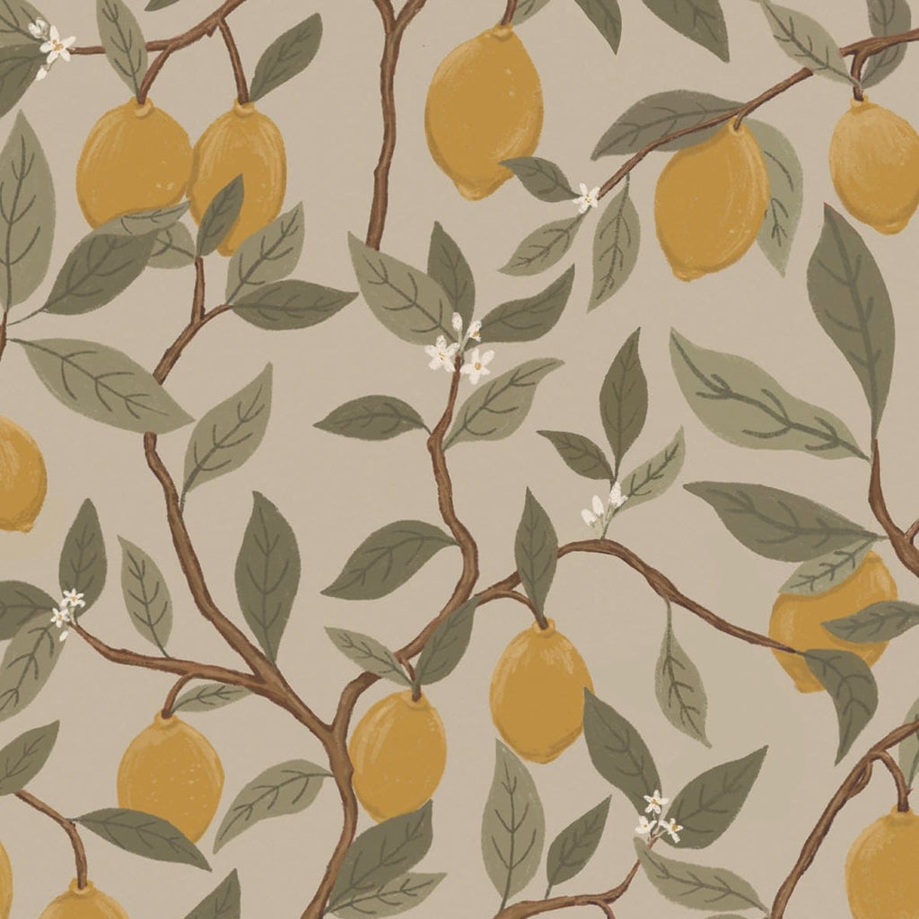 Lemon wallpaper nursery decor children's room lemons wallpapers