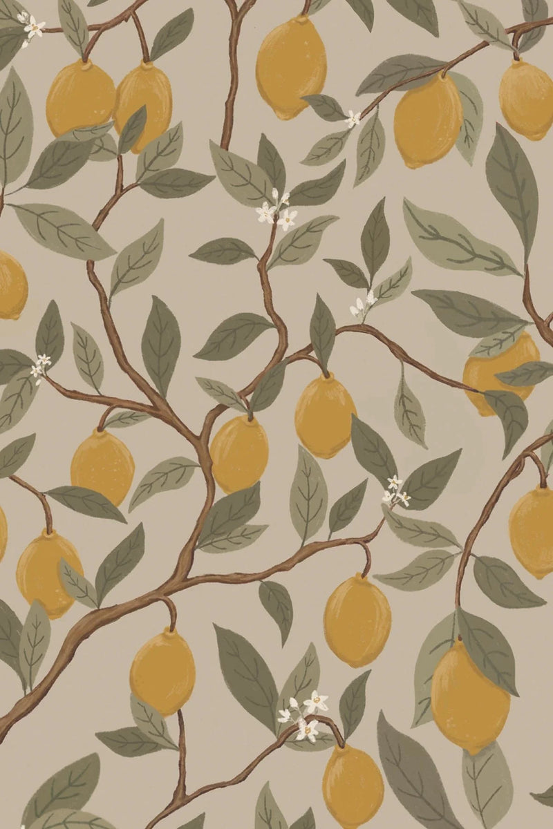 Wallpaper sample Atelier Florentine - Lemons