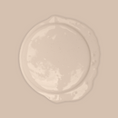 Bibelotte Verf – Poeder