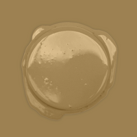 Bibelotte Verf – Toffee