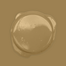 Bibelotte Verf – Toffee