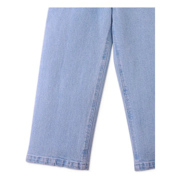 Gingersnaps - Jean Esmé Oiseau | Denim blue