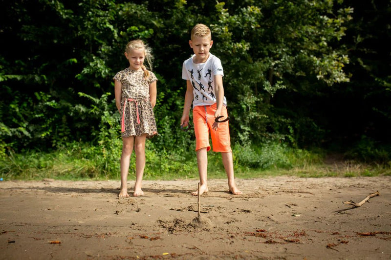 Kikkerland Huckleberry - Hoefijzers werpen