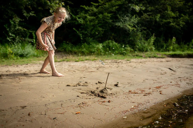 Kikkerland Huckleberry - Hoefijzers werpen