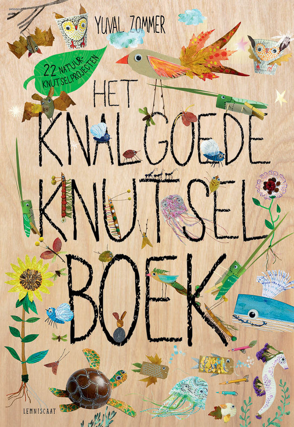 Het knalgoede knutselboek - Kinderboek