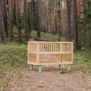 Karl & Fric Nox Ledikant 60x120cm + Junior Rail set - Natural Wood & Green