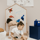 Noriter Project x LUDE Set magnetico Dinos