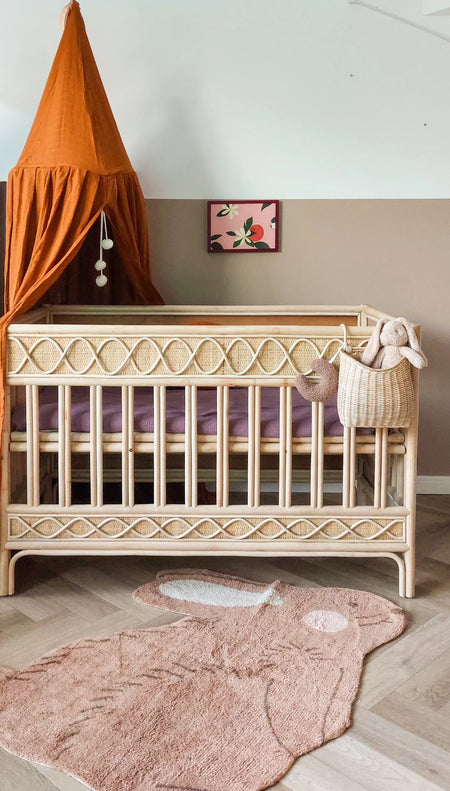 Leo &amp; Moon - Rattan crib / baby box