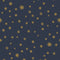 Esempio di carta da parati Incontriamoci al Muro - Blu notte stellata - Joëlle Wehkamp