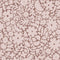 Muestra de papel tapiz Meet Me at the Wall - Flowerfield Warm Taupe - Natural North