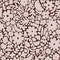 Muestra de papel tapiz Meet Me at the Wall - Flowerfield Brown - Natural North