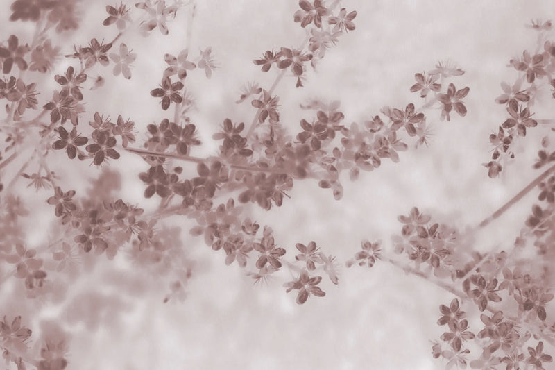 Behangstaal Rebel Walls - Apple Bloom - Pink