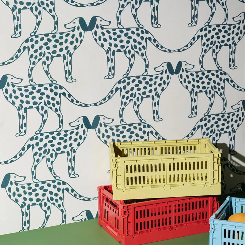 Season Paper – Dalmatien