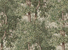 Wallpaper Sandberg Charles - Green – Forest wallpaper