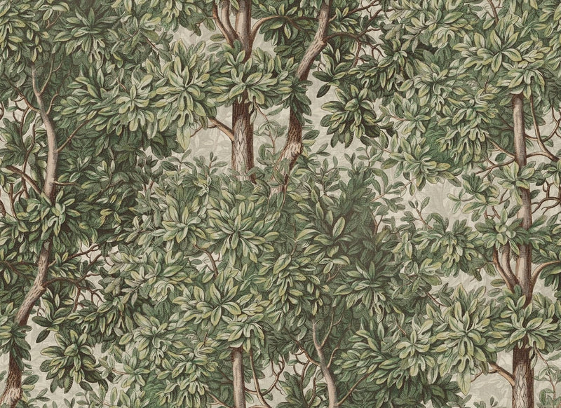 Wallpaper Sandberg Charles - Green – Forest wallpaper