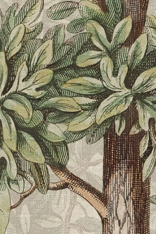 Wallpaper Sandberg Charles - Green – Forest wallpaper