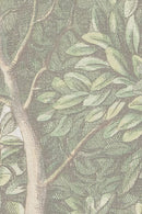 Wallpaper Sandberg Charles - Light Green – Forest wallpaper