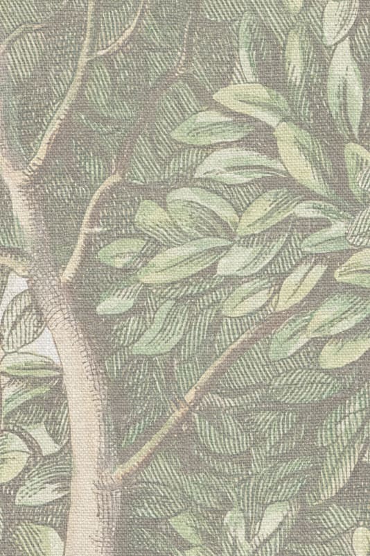 Wallpaper Sandberg Charles - Light Green – Forest wallpaper