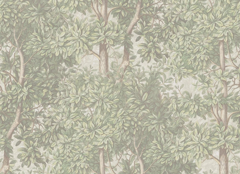 Wallpaper Sandberg Charles - Light Green – Forest wallpaper