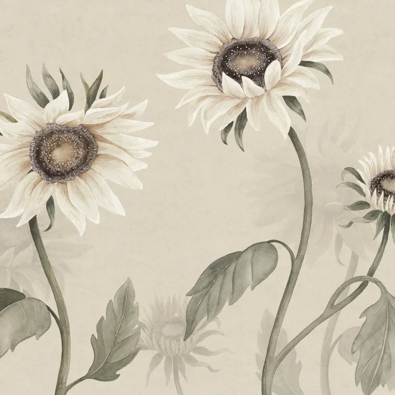 Tapete Sandberg - Sonnenblumen - Weiß