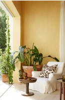Little Greene - Light Gold™ no. 53