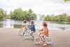 Banwood Balance Bike - Icon Rose