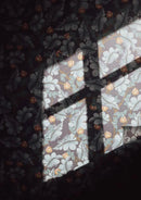 Sfondo grigio estivo - Ranunculus - Midnight Blue