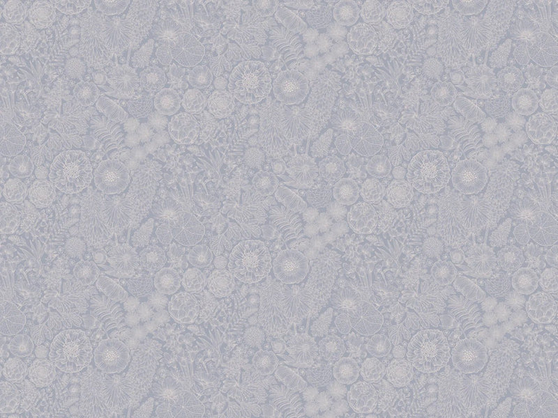 Sfondo grigio estivo - agosto - blu