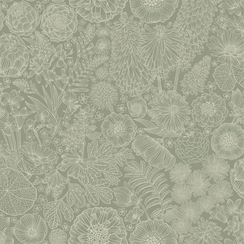 Fond d'écran Fond d'écran gris - août - vert