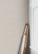 Fond d'écran gris d'été - août - Sable