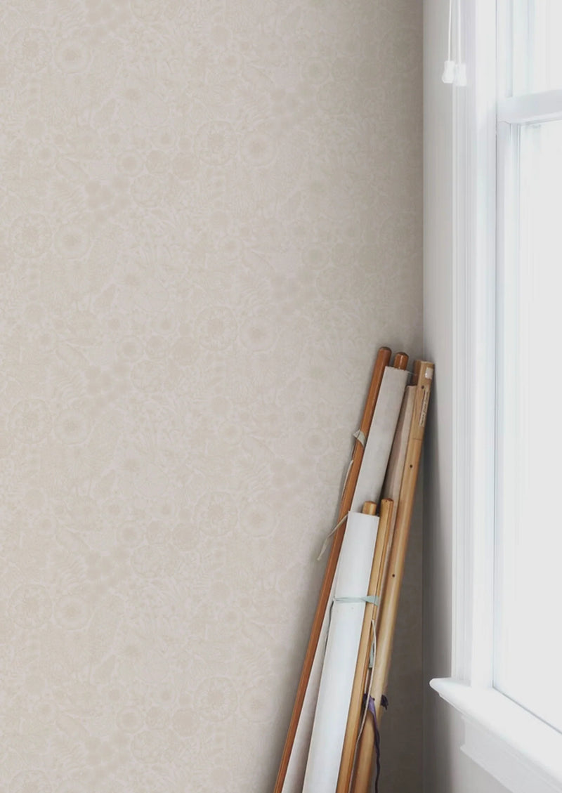 Fond d'écran gris d'été - août - Sable