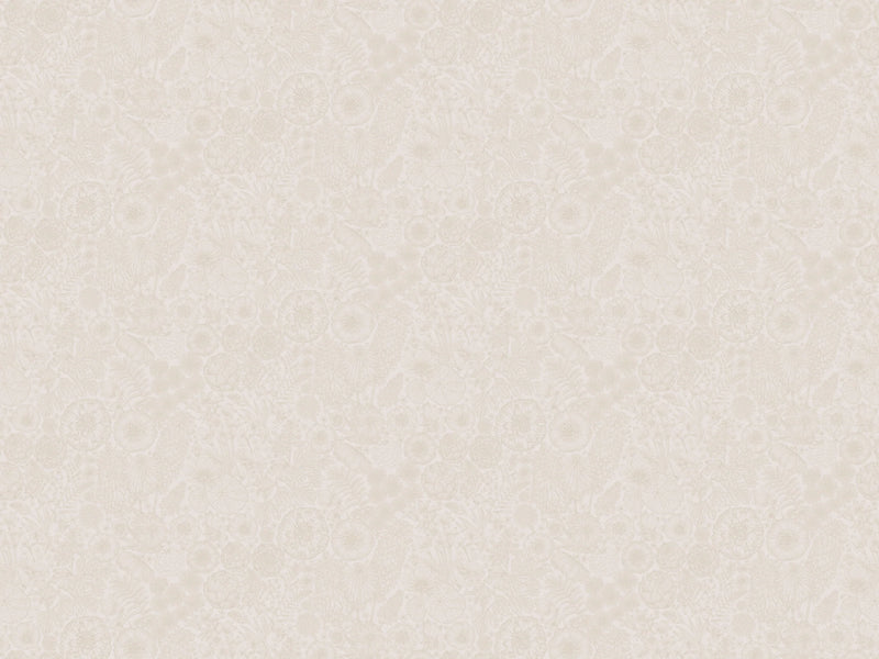 Fond d'écran gris d'été - août - Sable