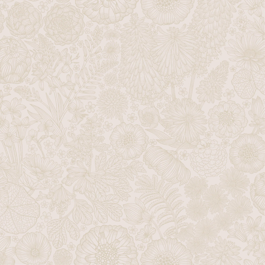 Fond d'écran gris d'été - août - Sable