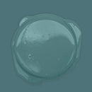 Bibelotte Paint – Teal