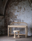 Leo & Moon Exclusive © rotan kinderbureau met kruk