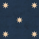 donkerblauw sterren behang kinderkamer Dekornik Classy Stars Navy Blue