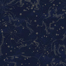 Behangstaal Dekornik - Constellations dark