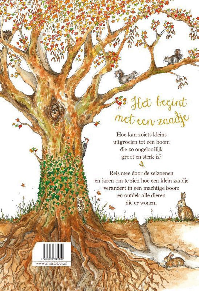 Kinderboek Het begint met een zaadje