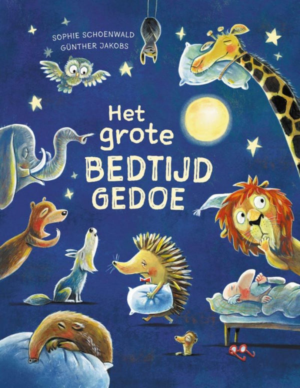 Het grote bedtijdgedoe kinderboek