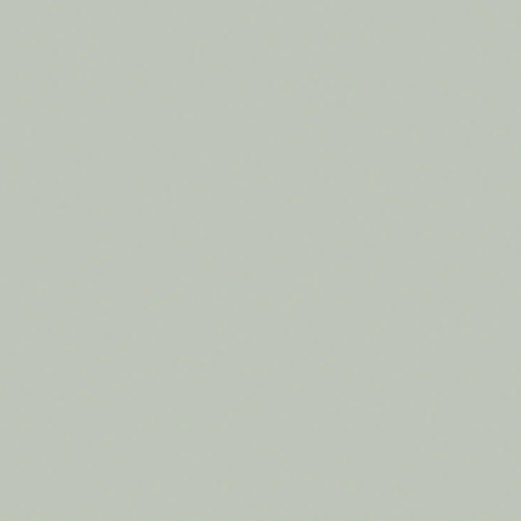 Little Greene - Pearl Colour Dark™ no. 169