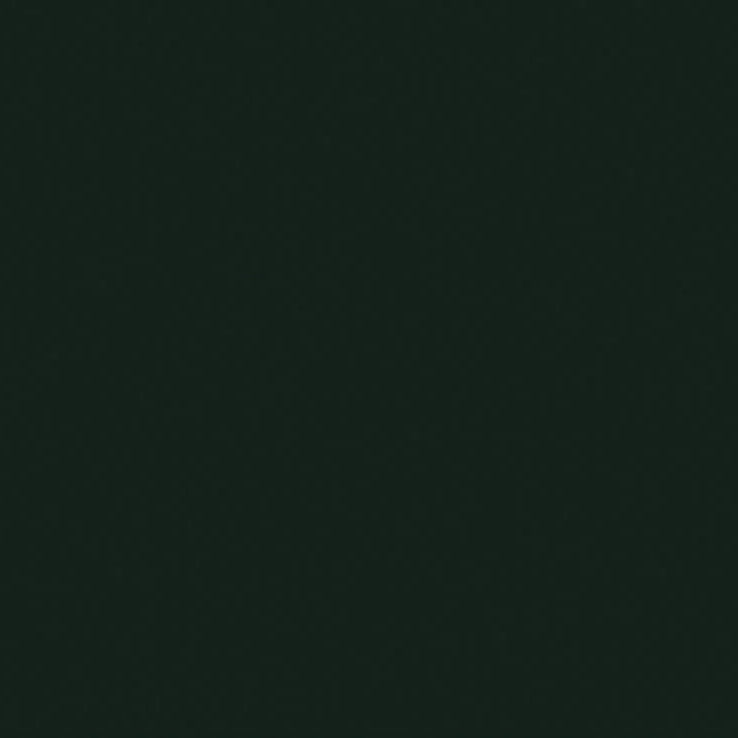 Little Greene - Obsidian Green™ no. 216