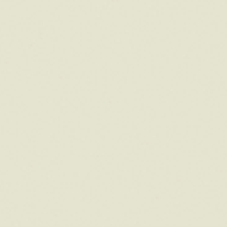 Little Greene - Mirror™ no. 219