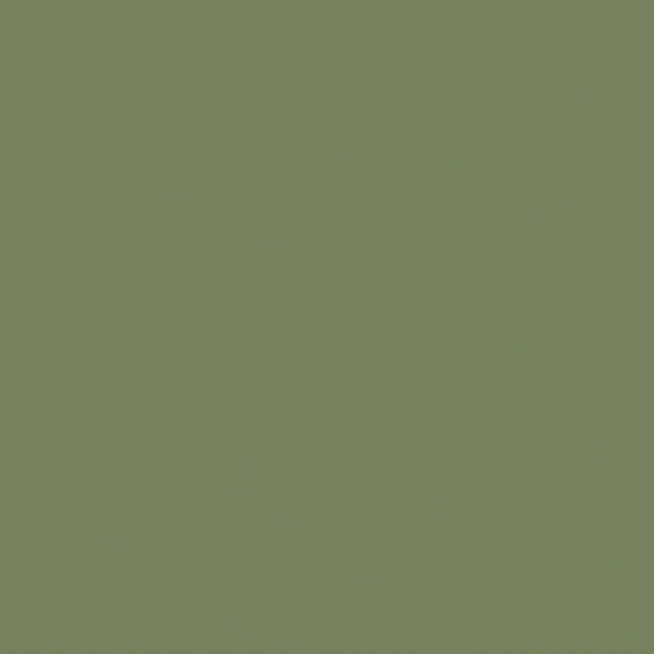 Little Greene - Sage Green™ no. 80
