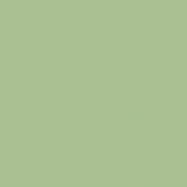 Little Greene - Pea Green™ no. 91