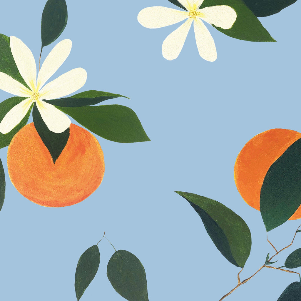 Wallpaper Oranges 