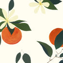 Behang Atelier Florentine - Sinaasappels Wit