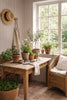 Summer Gray Atelier Stripe, Sketch - Clay